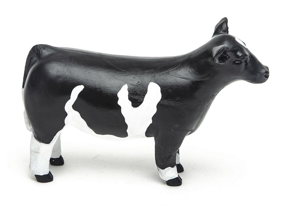 Little Buster Toys: Champion Show Steer Crossbred Black/White